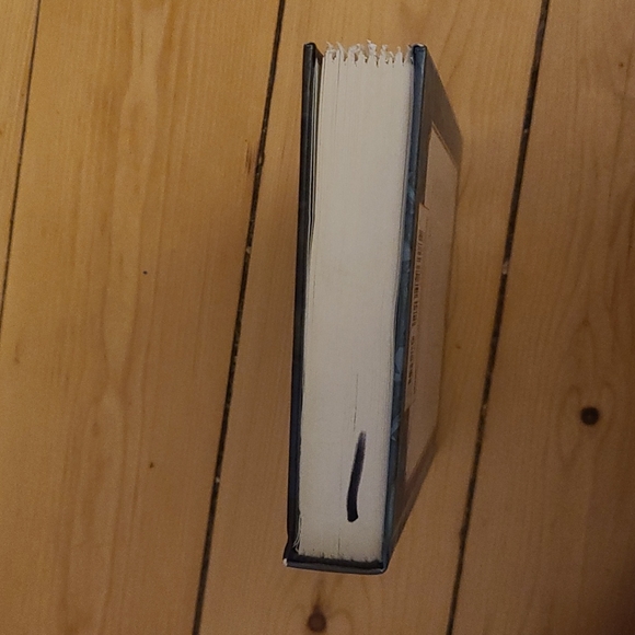 A Series of Unfortunate Events Book 7 - The Vile Village - Picture 4 of 4